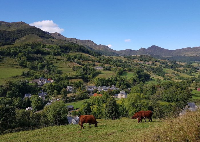 Mandailles-Saint-Julien photo