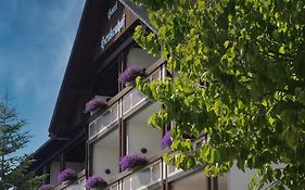 Landhotel Henkenhof Willingen فيلنغن Exterior photo