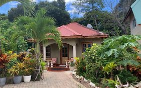 فيلا Island Bungalow لا ديج Exterior photo