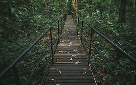 فندق منتجع خاوسوك تريهوس Khao Sok National Park Exterior photo