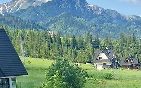 فيلا زاكوبانيفي Domek Tatry Exterior photo