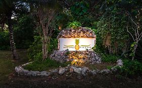 الشقق الفندقية جوفرنرز هاربورفي  Pineapple Fields Exterior photo