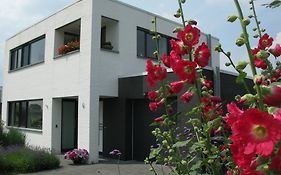 روخيل B&B De Beverhoek Exterior photo