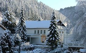 Altes Doktorhaus - Hotel Garni فيلنغن Exterior photo