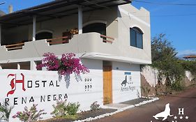 شقة Hostal Arena Negra بويرتو أيورا Exterior photo