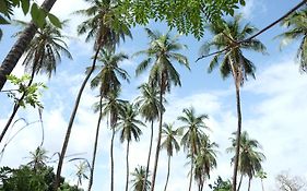 منزل الضيف Diakene Ouolof  في Centre Touristique Et Culturel Casamance Exterior photo