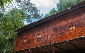 فيلا نزل الغابة المطيرة Ringlet Exterior photo