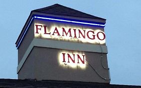 إيلك سيتي Flamingo Inn Exterior photo