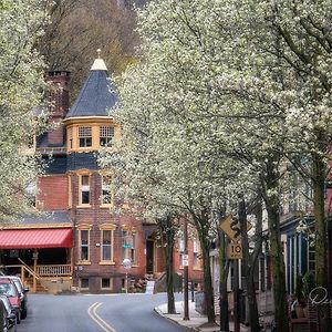 جيم ثورب The Dolon House Bed & Breakfast! Exterior photo