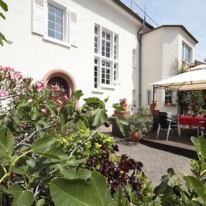 فندق Bio-Weingut, Gaestehaus Und Kraeuterhof Flomborn Exterior photo