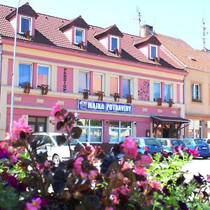 فندق Pension Bernartice Bernartice  Exterior photo