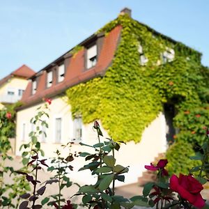 فندق Weingut Martin Blass Erlabrunn  Exterior photo