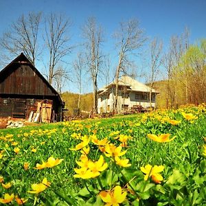 شقة Agropensiunea Tarina Rosia Montana Exterior photo