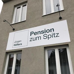 فندق Pension Zum Spitz Seebenstein Exterior photo