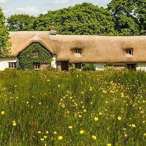 مبيت وإفطار Beaworthy Hay Meadow Farm Exterior photo