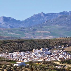 فندق Molino Romano Alcalá del Valle Exterior photo