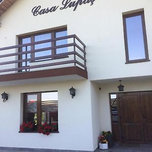 فندق Pensiunea Casa Lupas Gilău Exterior photo