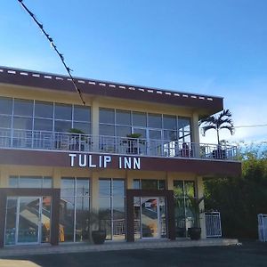 Tulip Inn Tomohon Exterior photo