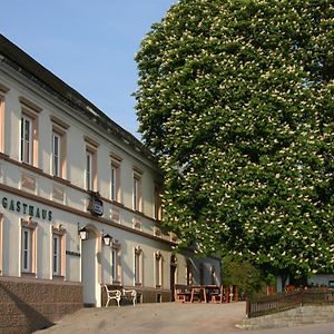 فندق Gasthof Hehenberger Wallsee Exterior photo