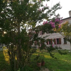 Corlo B&B Al Vecchio Noce Exterior photo