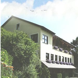 فندق Landgasthaus Zum Erlengrund Emskirchen Exterior photo