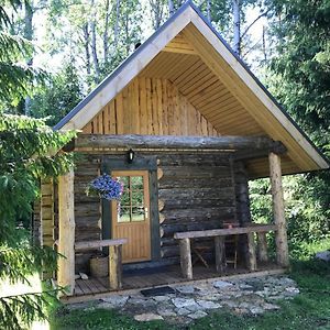 Haaviku Nature Cottage Tepelvalja Exterior photo