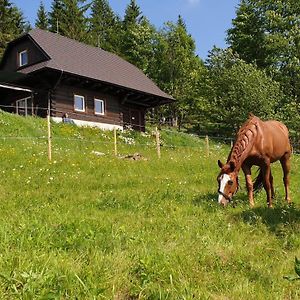 فيلا Panorama Ranc Jezici Exterior photo