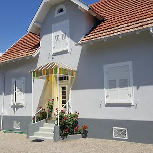 مبيت وإفطار Offendorf Au Berceau Du Loup Agile Exterior photo