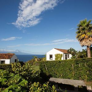 مبيت وإفطار Manadas Jardim Do Triangulo - Alojamento Local Exterior photo