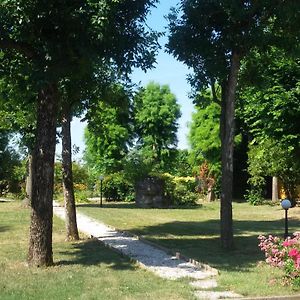 روبانو B&B La Vigna Di Federico Exterior photo