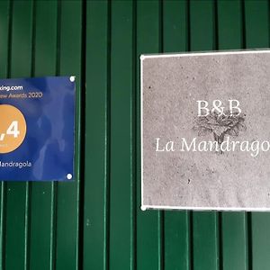 Berra B&B La Mandragola Exterior photo