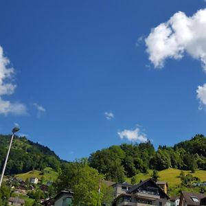 فندق Gasthaus Schaefli غيراسو Exterior photo