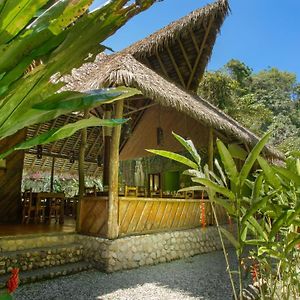 Esquinas Rainforest Lodge غولفيتو Exterior photo