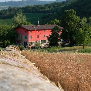 Montagnana  Al Sasseto B&B Exterior photo