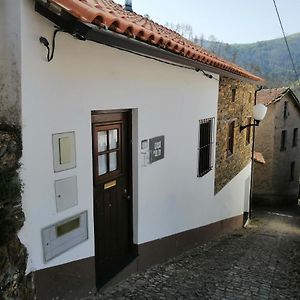 مبيت وإفطار Casa Do Alto - Benfeita Exterior photo