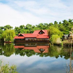 فندق Pensiunea Hubertus Bistriţa Exterior photo