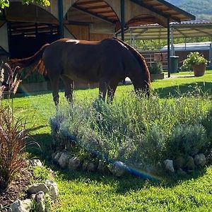 فيلا Family Farm Soc. Agr. A R.L. Vairano Patenora Exterior photo