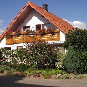 Ferienwohnung Zum Wohlfuehlen التينستيغ Exterior photo