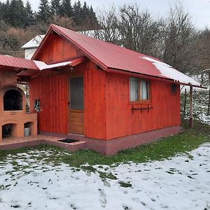 فيلا Casa La Lepe Rosia Montana Exterior photo