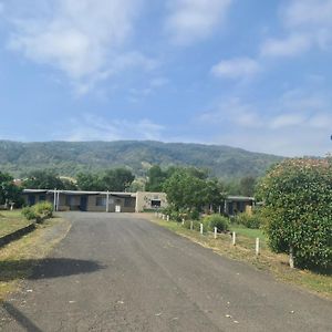 Murrurundi Valley View Motel Exterior photo