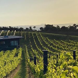 فندق La Bodega Waiheke Island Surfdale Exterior photo