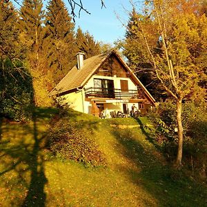 فيلا Alpinejka House Tržič Exterior photo