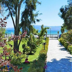 Vatheia Amarynthos Beachfront Vacation House With Garden Exterior photo