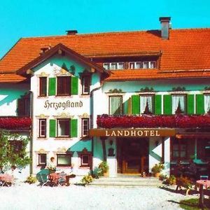 Landhotel Herzogstand Garni كوشل Exterior photo