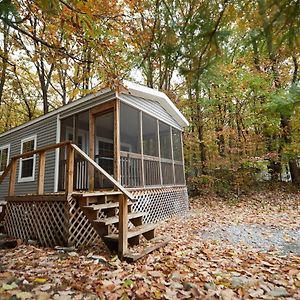 فندق Spring Gulch Screened Park Model 7 Mount Airy Exterior photo