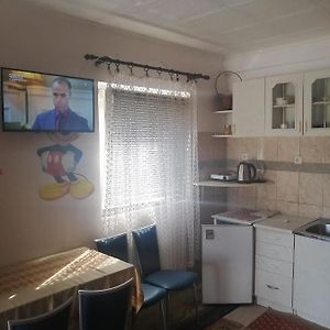 فندق Apartman Tomas تْشيرسيك نوفي Exterior photo