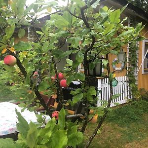أفيستا Apple Tree Cabin With River Views Exterior photo