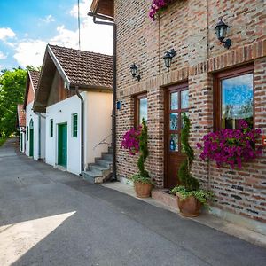 منزل الضيف Kneževi Vinogradi  في Podrumi Kolar "Suza Baranje" Exterior photo