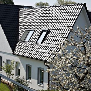 شقة Fewo Lueheblick Im Haus Luehegarten Grünendeich Exterior photo