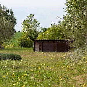 فيلا La Decouverte, Jacuzzi, Sauna, Et Terrasse Avec Vue Sur Lac A La Campagne Entre Toulouse Et Auch Catonvielle Exterior photo